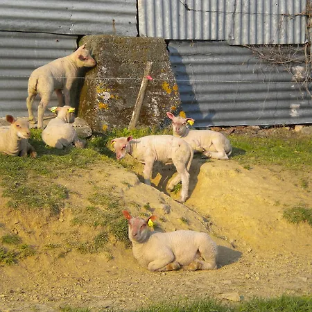 Bed & Breakfast D'hotes Anteziere