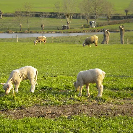 D'hotes Anteziere Réaumur