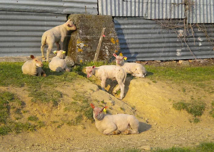 Couette-café D'hôtes Antézière