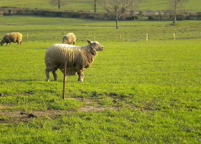 D'hôtes Antézière