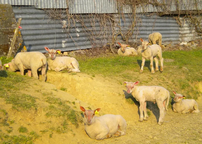 Couette-café D'hôtes Antézière 3*