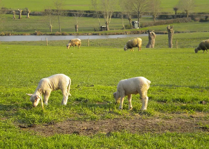 D'hôtes Antézière Réaumur