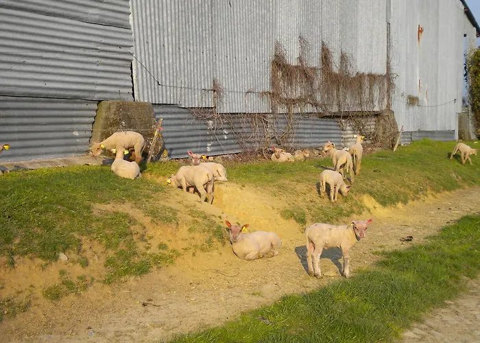 Couette-café D'hôtes Antézière